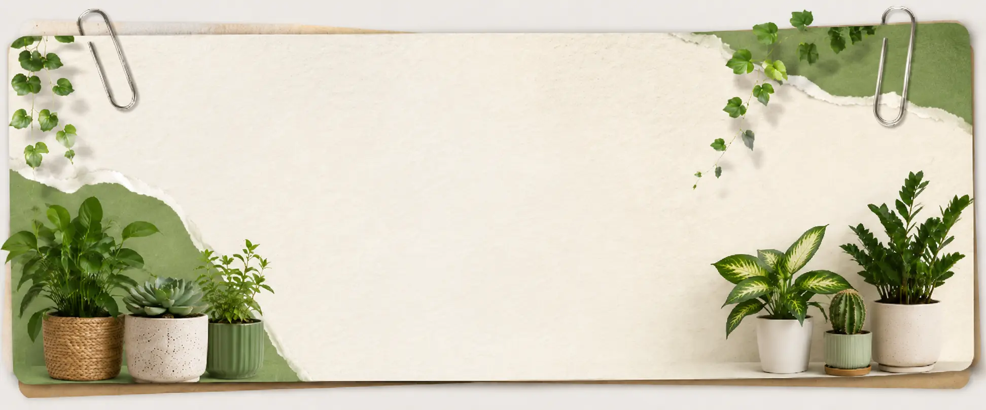 Plant care articles and gardening guides from ThePlantic