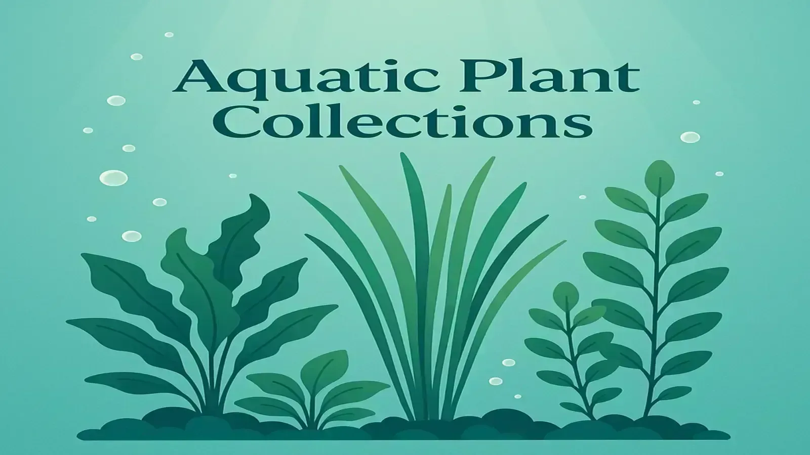 Dive Into Serenity: Discover ThePlantic’s Aquatic Plant Collection